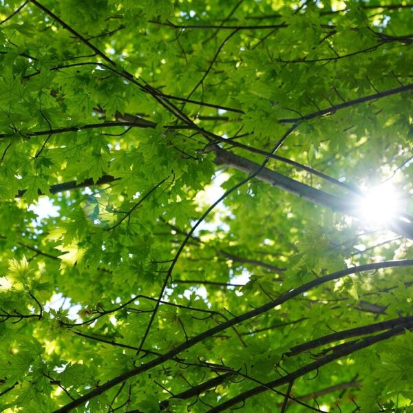 Our Commitment to Equity and Action